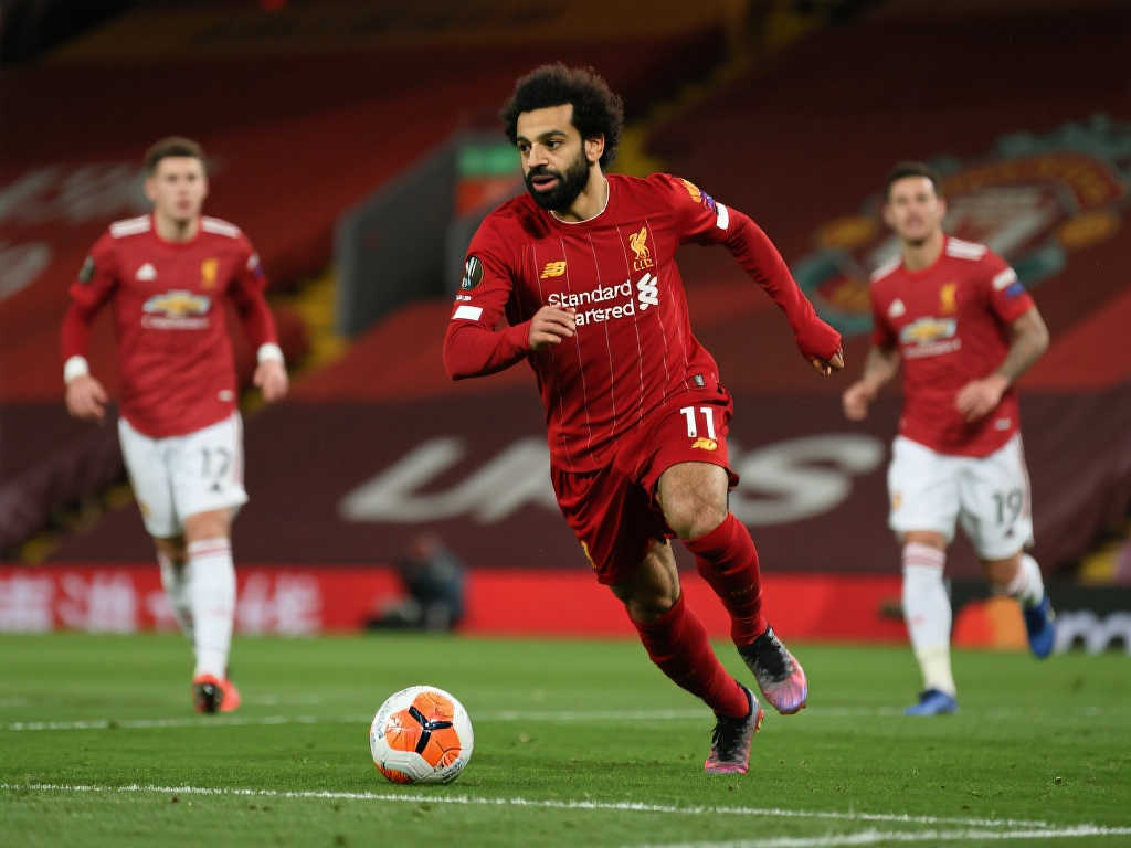 供了出色的 供了出色的