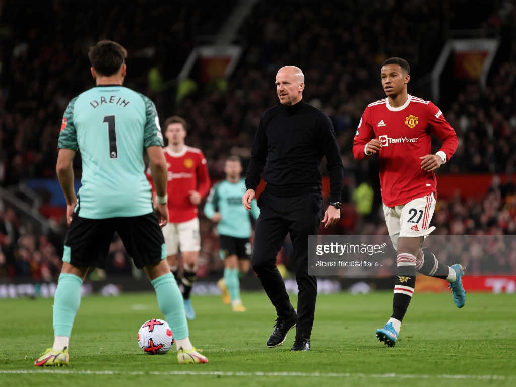 以其顽强的 以其顽强的